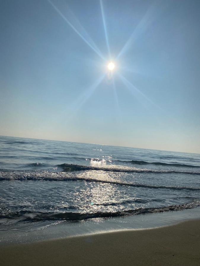 Hotel Saint Georges, Face A La Mer Canet-en-Roussillon Exterior foto